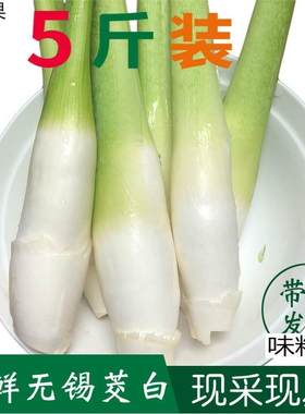 无锡新鲜带壳茭白5斤农家时令鲜嫩现摘蔬菜菰茭儿菜茭瓜特色