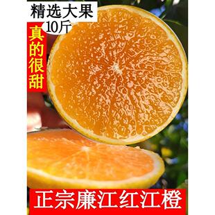 廉江红橙红江橙正宗红江农场橙子新鲜水果10斤当季现货红心橙