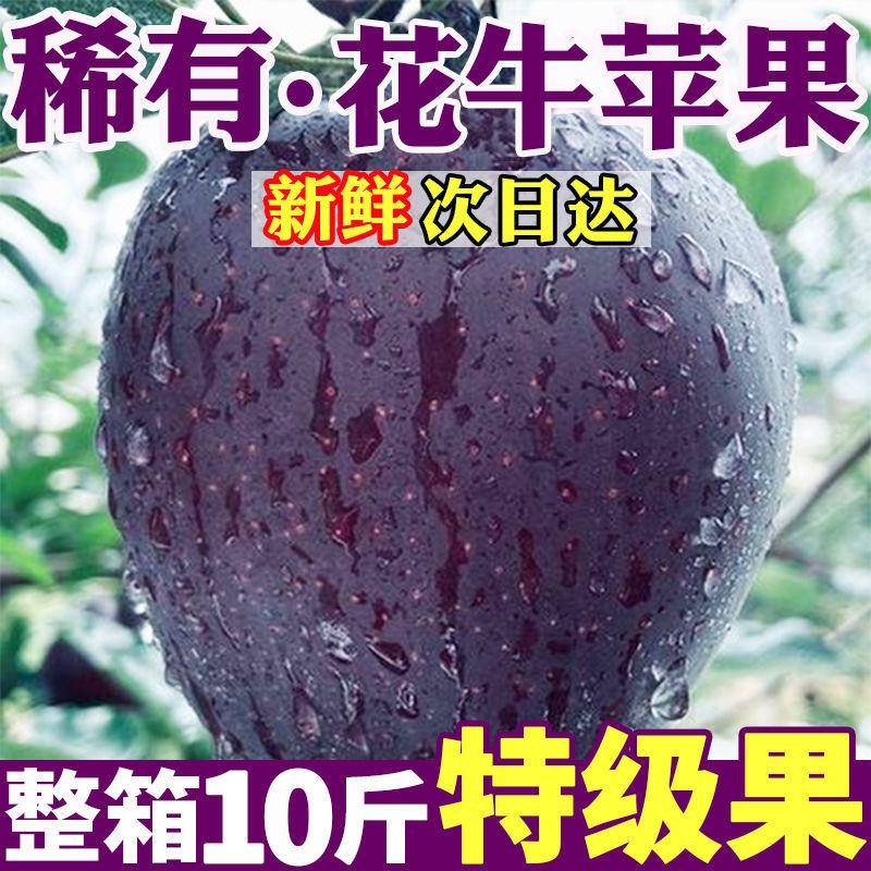 【爆甜】高端黑卡花牛苹果冰糖心新鲜水果应季稀有黑苹果整箱