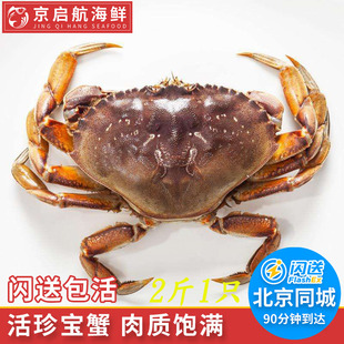 500g，2斤起拍，鲜活珍宝蟹加拿大进口大螃蟹鲜活深海水产活蟹