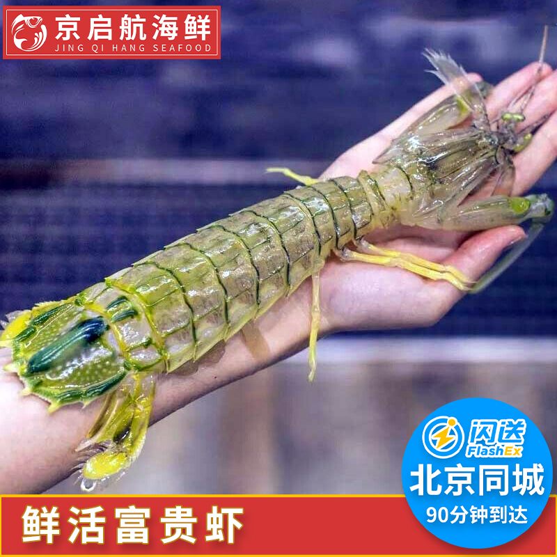 超大泰国富贵皮皮虾鲜活爬子野生