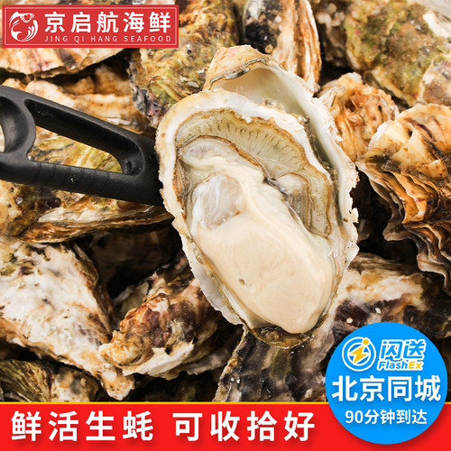闪送乳山生蚝鲜活纯净