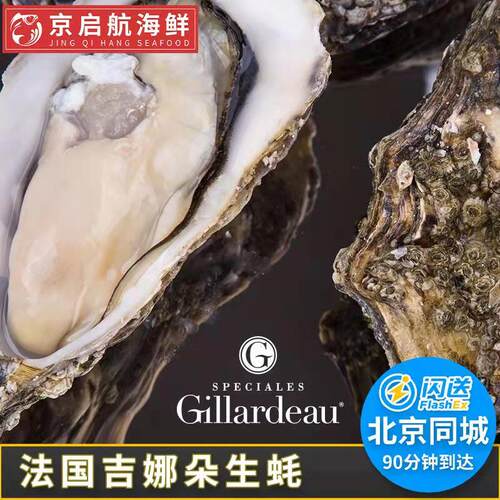 法国进口吉娜鲜活牡蛎