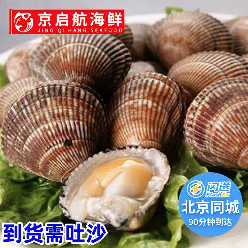 500g 北京闪送 鸟贝 鲜活 鸟蛤 海鲜 新鲜贝类 水产 野生