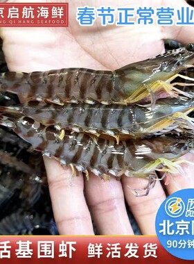 九节虾鲜活海鲜基围虾北京闪送