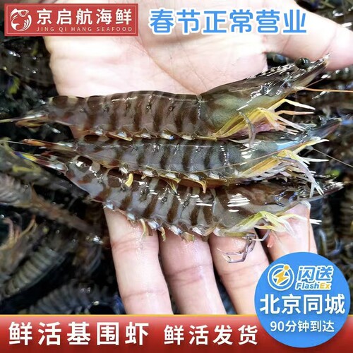 九节虾鲜活海鲜基围虾北京闪送