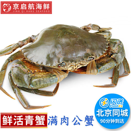 斤装北京闪送特大鲜活青蟹