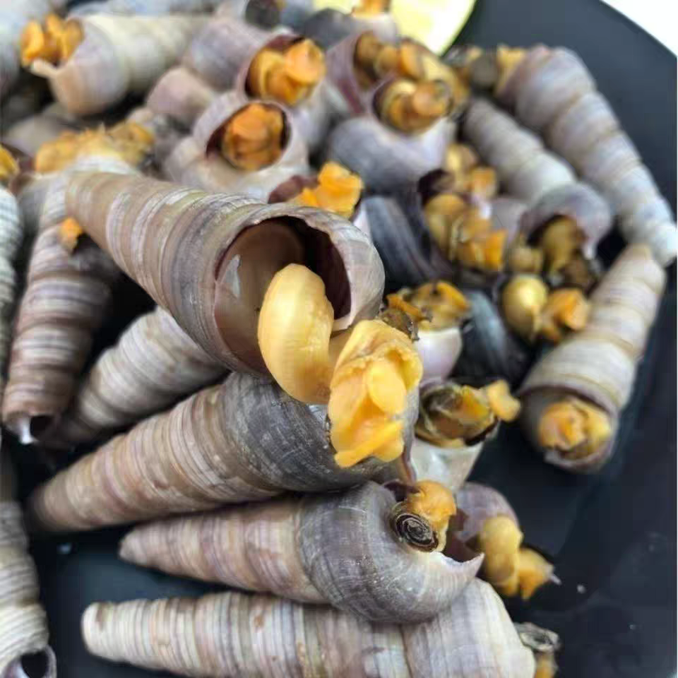 500g  已去尾 海鲜水产贝类钉螺鲜活尖螺海螺新鲜 钉螺丝北京闪送