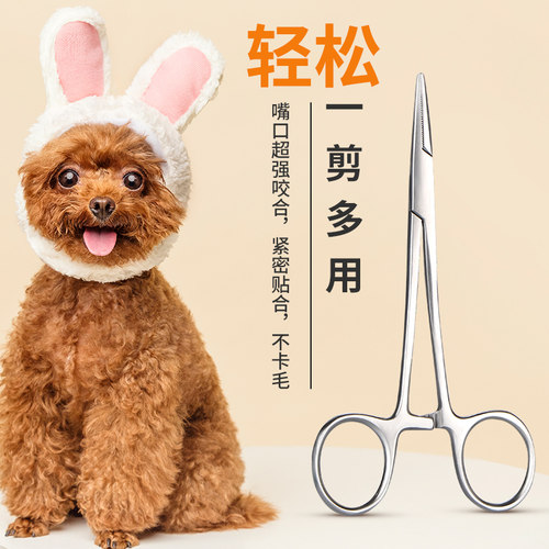 宠物狗狗拔耳毛钳耳毛粉无痛
