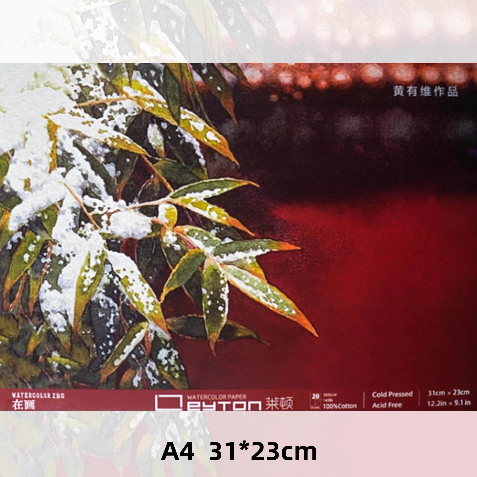 莱顿水彩纸纯棉300g四面封胶