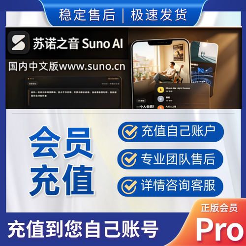 【国内版】苏诺之音中文站Suno AI会员VIP积分充值会员订阅