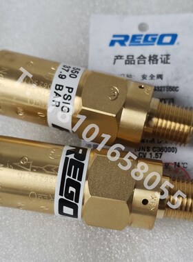 力高REGO安全阀PRV9432T 低温杜瓦瓶安全阀LNG液氮液氧 1/4