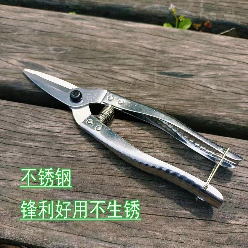 园艺种植工具挖土铲子一体多用宽铲载花阳台松土花盆种菜小铁铲,个性定制/设计服务/DIY,明信片定制,淘宝优惠券,粉丝福利购,淘宝优惠卷