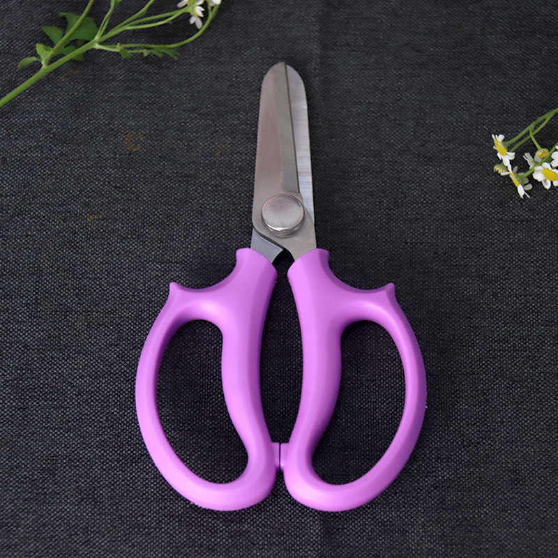 家用花卉盆栽多肉植物修枝剪树枝果树细枝修剪园艺剪枝大剪刀花剪,个性定制/设计服务/DIY,明信片定制,淘宝优惠券,粉丝福利购,淘宝优惠卷