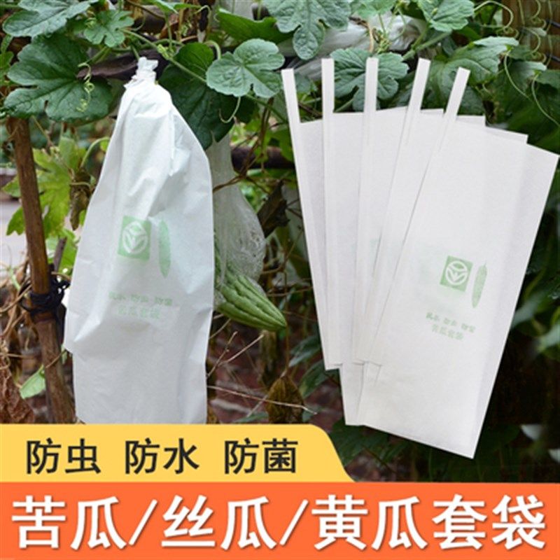葡萄袋子防虫袋露天葡萄套袋果袋专用套袋防水套葡萄用纸袋育果袋,个性定制/设计服务/DIY,明信片定制,淘宝优惠券,粉丝福利购,淘宝优惠卷