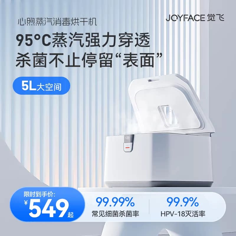 觉飞心煦内衣裤蒸汽消毒烘干机杀菌专用小型家用干婴儿衣物盒器柜