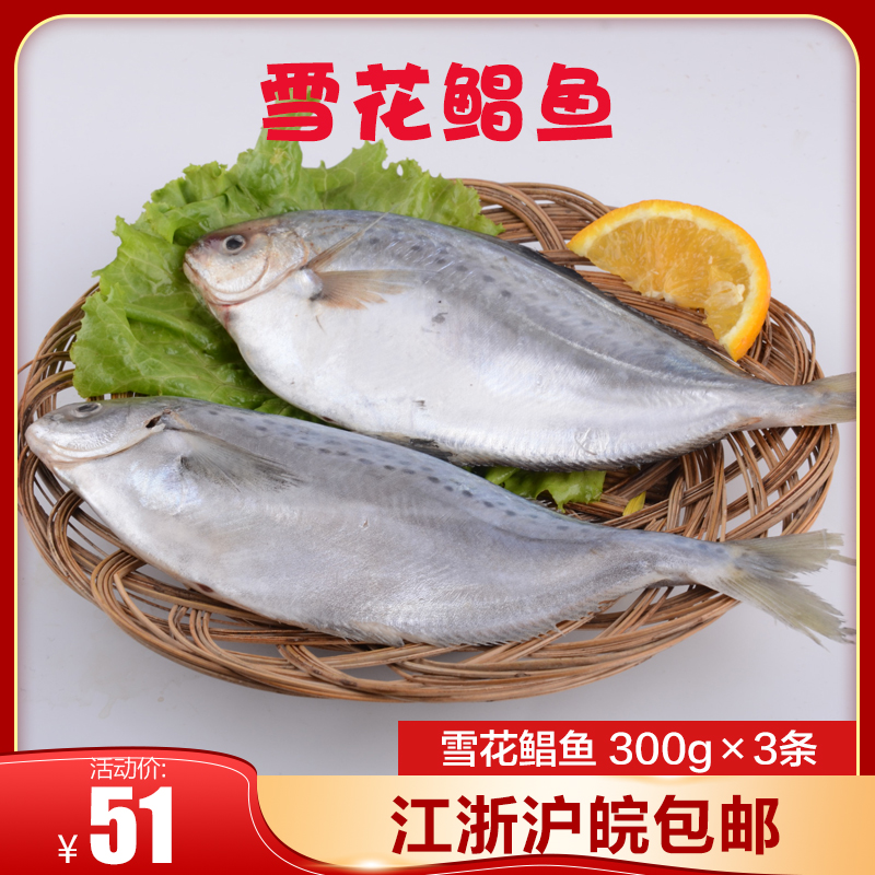 阿根廷新鲜雪花鲳鱼深海鲜冻斑点海鲳鱼金银鲳鱼300g包邮