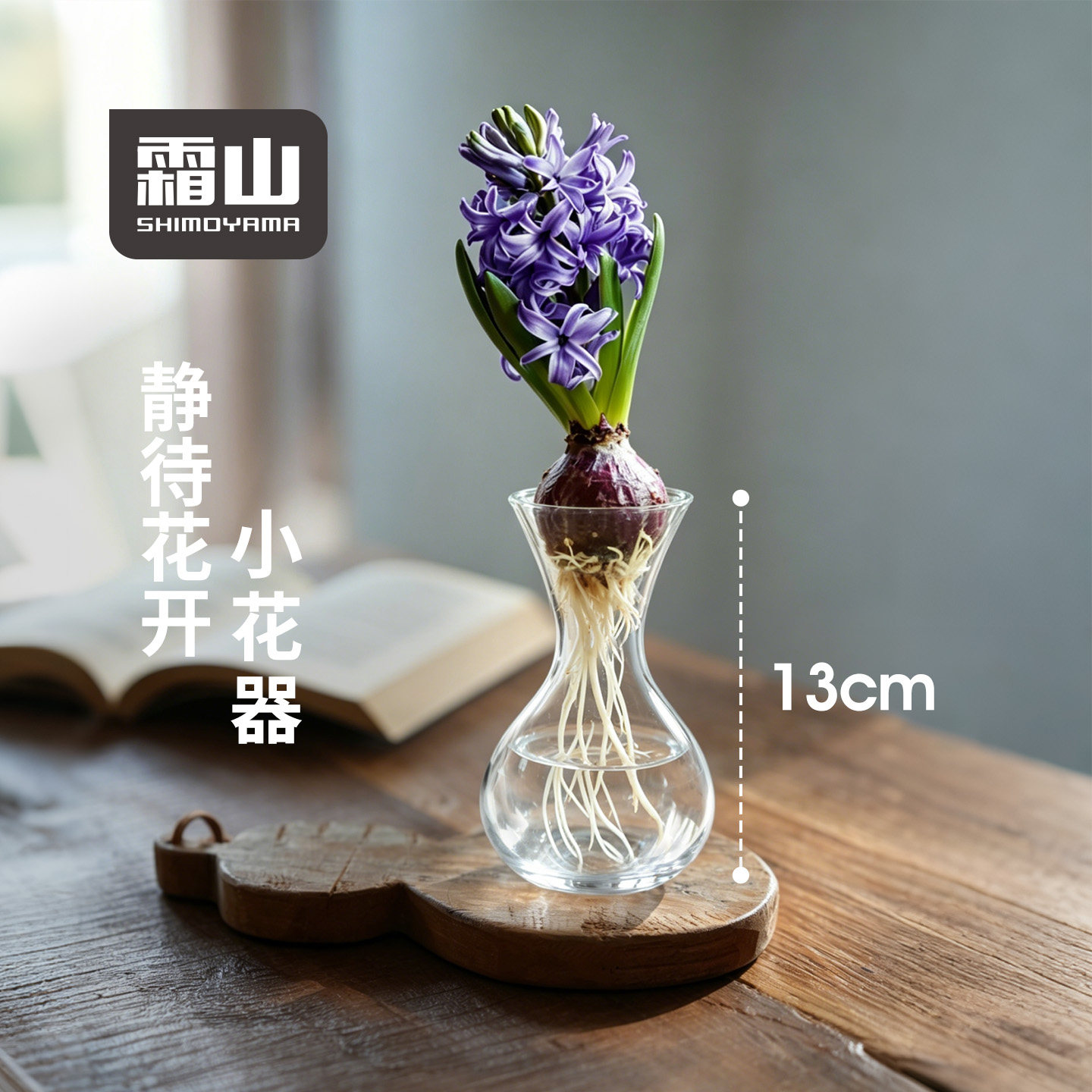 霜山玻璃花瓶透明水养鲜花客厅插花摆件迷你圆肚水培玄关装饰瓶