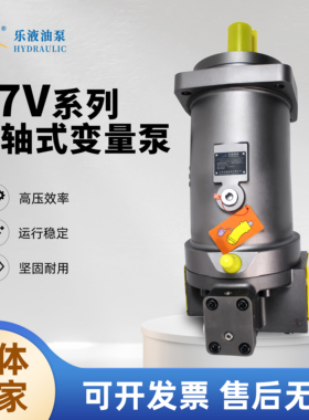 江苏乐液A7V40/50/55/58/78/80/107/117/160/250DR1RPF00柱塞泵