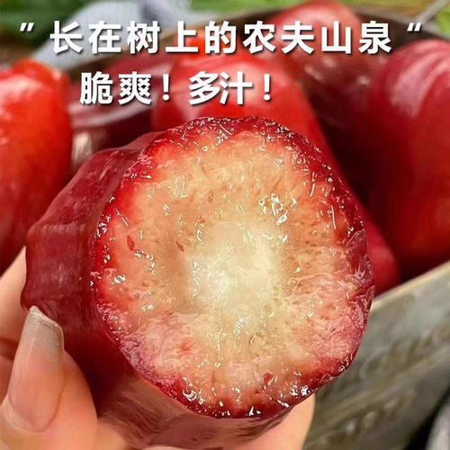 海南特产脆甜黑金刚莲雾水果送礼
