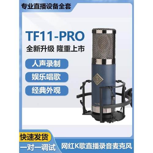 EXD TF11电容麦克风大振膜主播唱歌直播录音有声书话筒设备全套