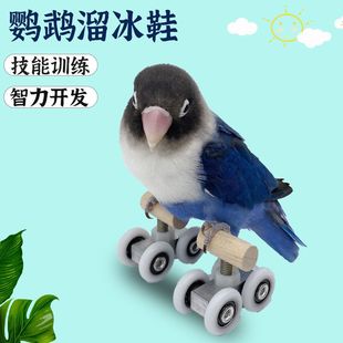 滑板鹦鹉溜冰鞋 鹦鹉鸟玩具训练道具用滑轮玄凤智力开发用品旱冰鞋