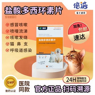 盐酸多西环素片宠物狗狗专用猫咪感冒药咳嗽打喷嚏流鼻涕药猫鼻支