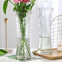 特大号玻璃花瓶透明水养富贵竹花瓶客厅家用插花瓶摆件两件套