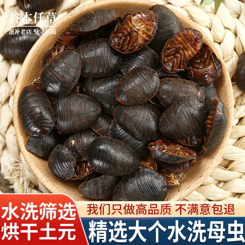 土元中药材土元干土鳖虫中药土元粉地鳖虫药材土元虫500g克正品