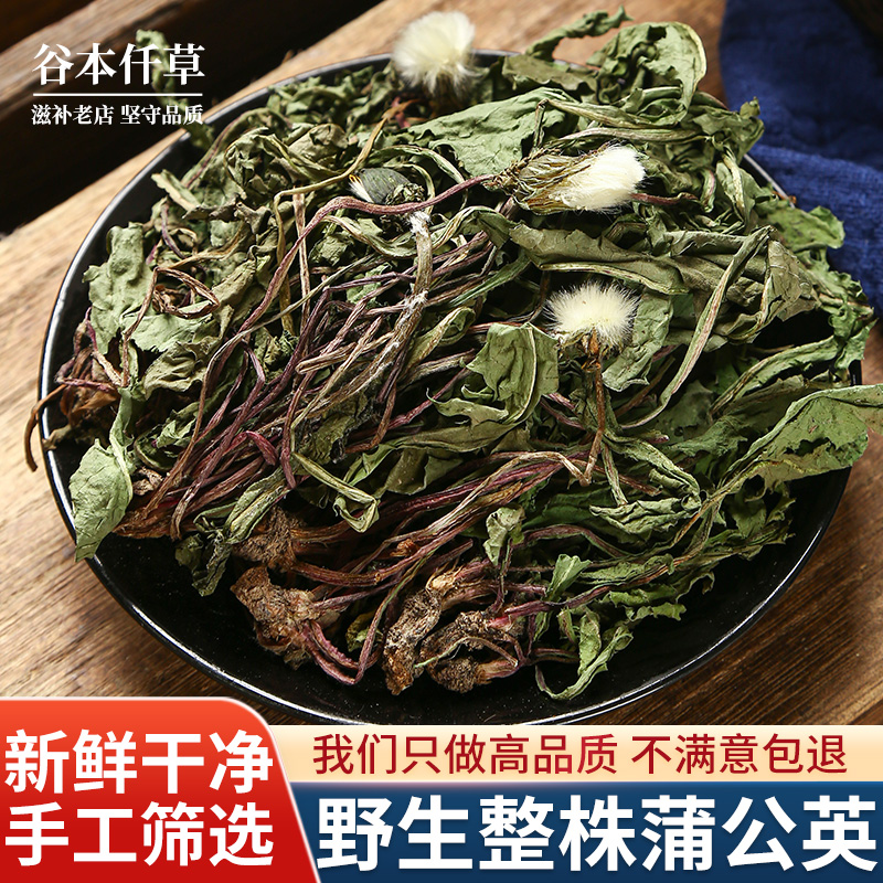 整颗蒲公英正品特级野生中药材浦公英茶新鲜干草婆婆丁官方旗舰店