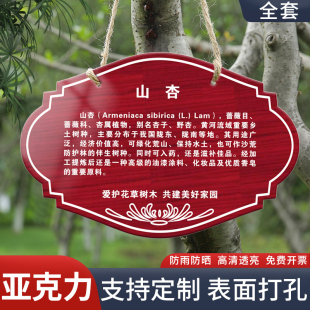 树牌植物绿化园林果树信息悬挂吊牌卡信息牌铭牌树木介绍爱护花草提示标牌树木标识挂牌学校公园植树节可定制