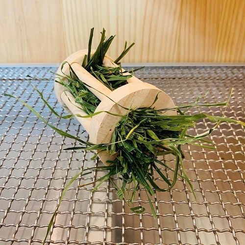 兔子龙猫磨牙小草架松木安全可固定实木喂草器荷兰猪豚鼠柜笼食盆