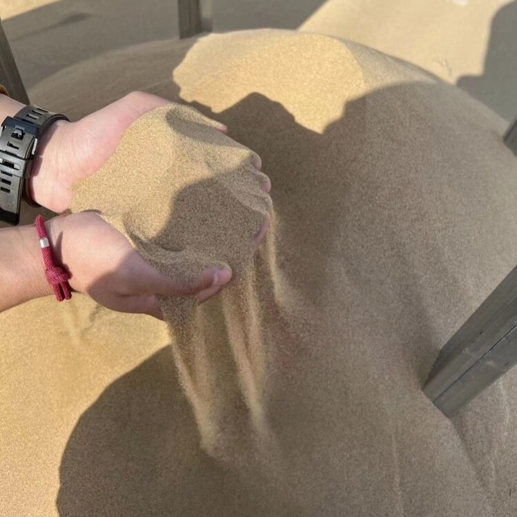 天然沙漠网红细沙儿童宝宝玩具绵沙仓鼠浴沙宠物沙乌龟宠物鱼缸
