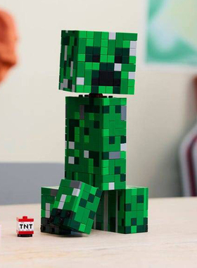 2025新款我的世界系列苦力怕鹦鹉屋堡垒国产积木儿童玩具男21276
