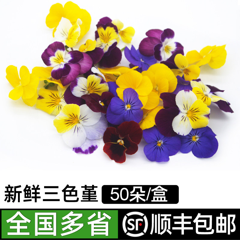 新鲜三色堇50朵/盒 可食用三色花鲜花草酒店西餐摆盘烘焙装饰点缀