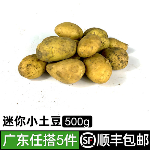 小土豆新鲜迷你500g农家包邮
