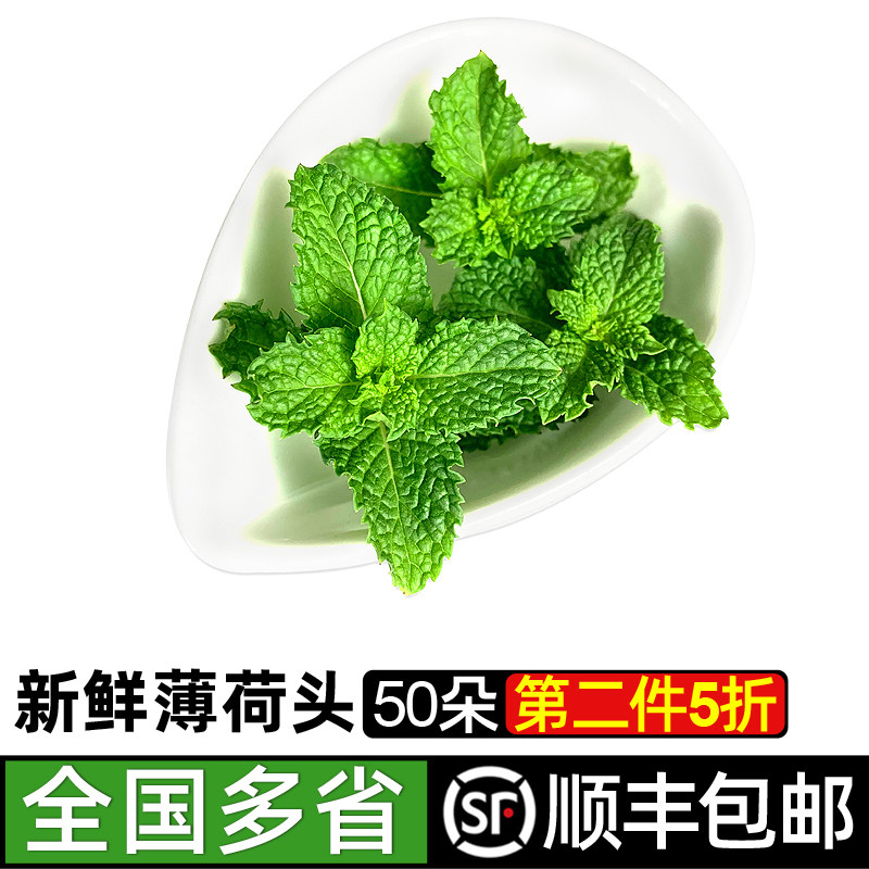新鲜薄荷头50朵薄荷尖可食用蛋糕烘焙调酒莫吉托食材摆盘装饰包邮