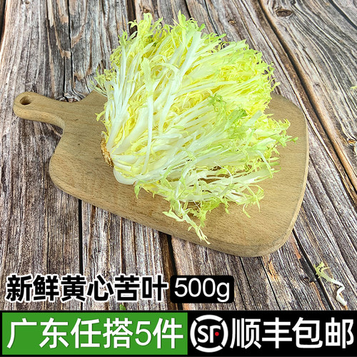 黄心苦菊500g新鲜蔬菜沙拉食材