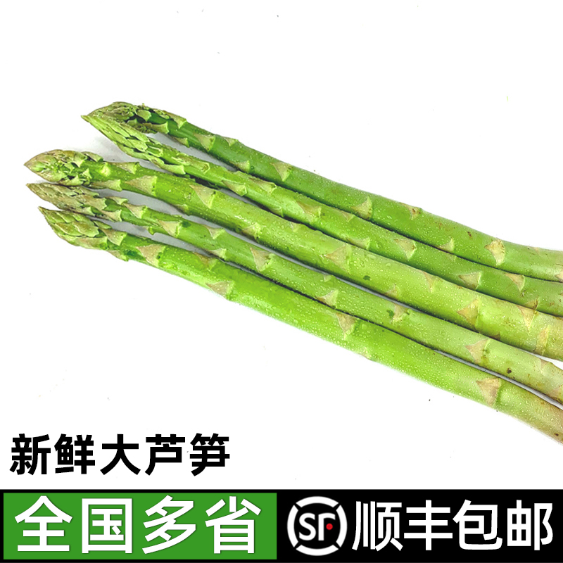 新鲜大芦笋农家现摘新鲜蔬菜绿芦笋青芦笋炒菜凉拌菜食材龙须菜