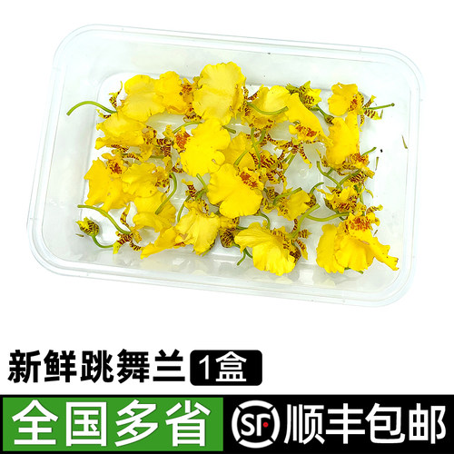 新鲜跳舞兰5g/盒20朵左右 金蝶兰文心兰西餐烘焙装饰摆盘花草