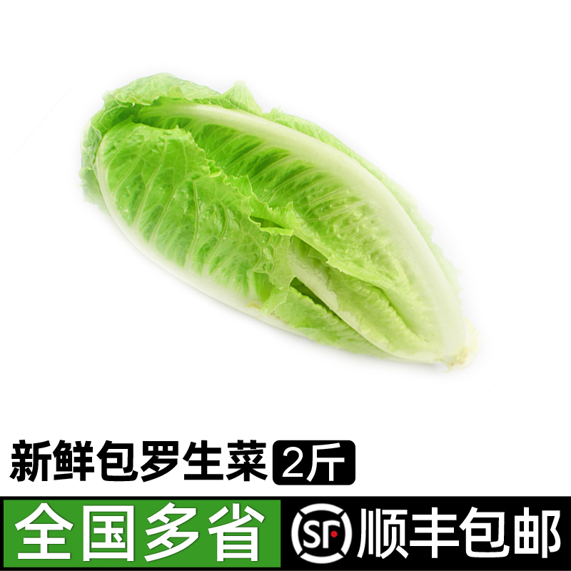 新鲜包心罗马生菜2斤罗马罗纹生菜凯撒沙拉蔬菜西餐沙拉食材包邮