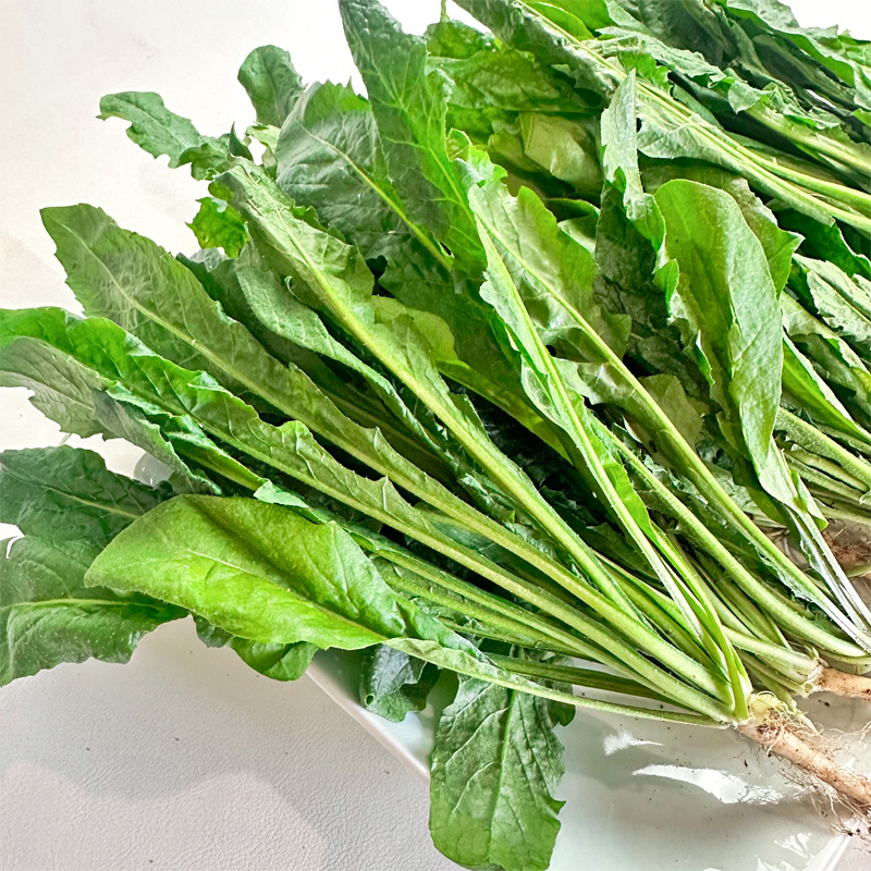 新鲜荠菜500g 农家蔬菜野菜现挖野生香荠菜新鲜菜馄饨饺子馅食材