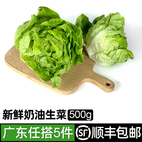 奶油生菜新鲜沙拉蔬菜牛油食材