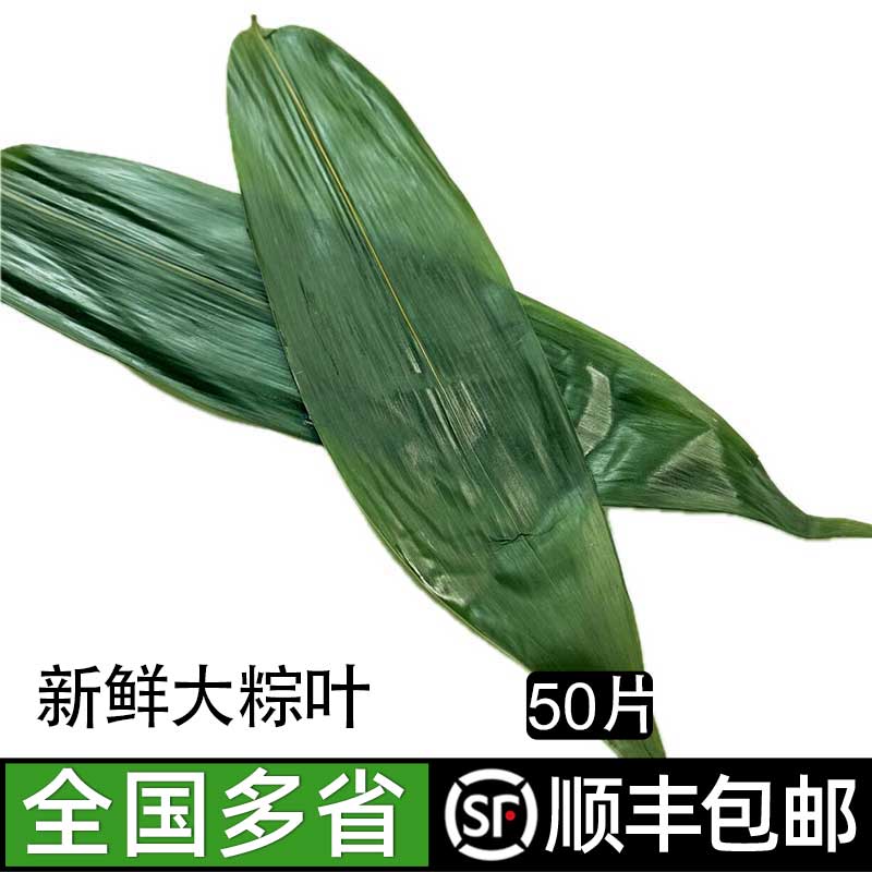 粽子叶棕叶新鲜大号新叶包粽子的叶子端午节商用粽叶50片1盒包邮