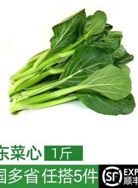 新鲜广东菜心500g 时令绿色蔬菜农家甜菜心菜薹 满5件包邮