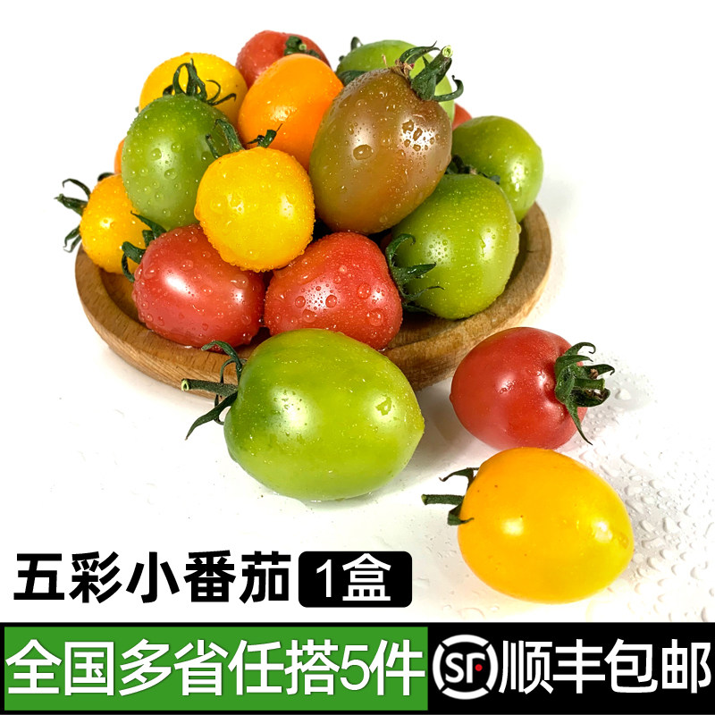 新鲜五彩小番茄450g 彩色小西红柿酸甜小番茄圣女果 满5件包邮