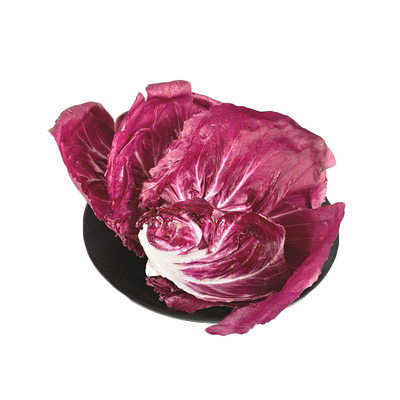 红菊苣新鲜叶子球生菜蔬菜沙拉