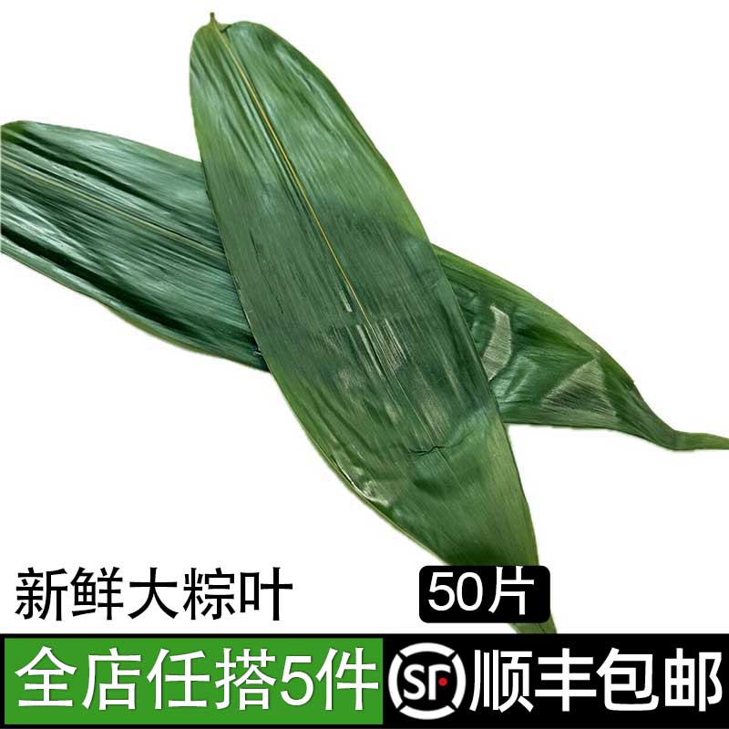 粽子叶粽子叶新鲜端午节