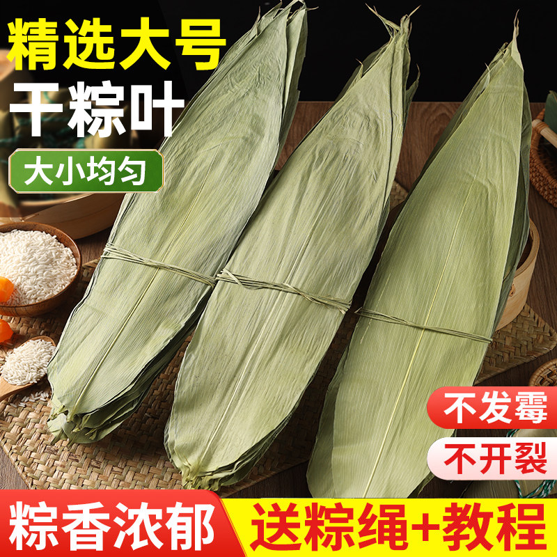 粽子叶粽叶干大号棕叶新鲜包粽子的竹叶子干粽叶商用箬叶批发专用