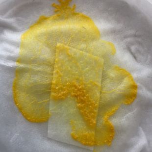 黏菌多头绒泡菌粘菌宠物黏菌地图黏菌菌核变形菌宠物